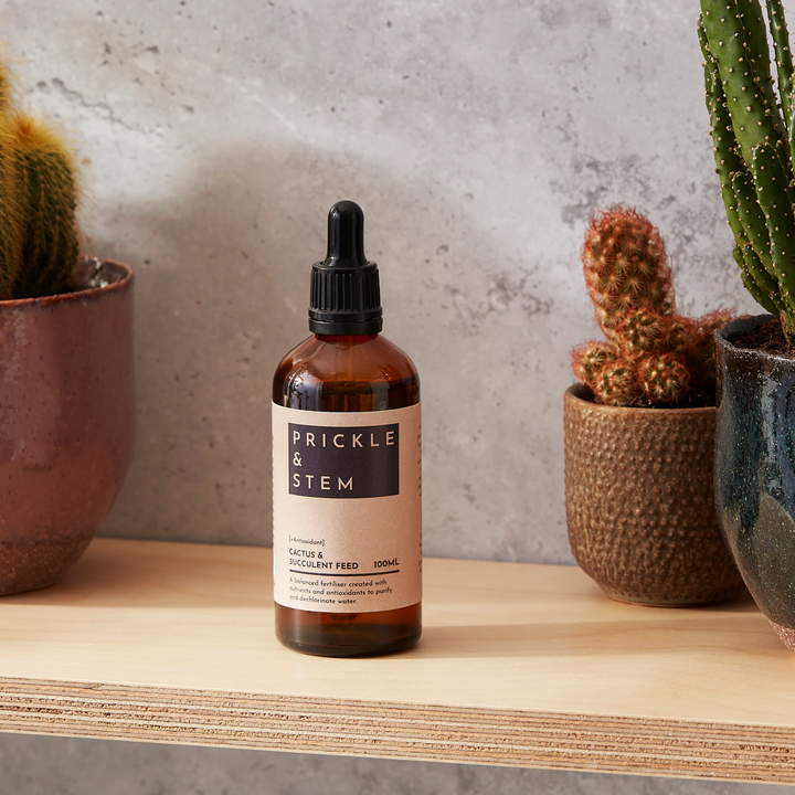 Bottle of 'Prickle & Stem' houseplant fertiliser on a wooden surface with cacti in the background