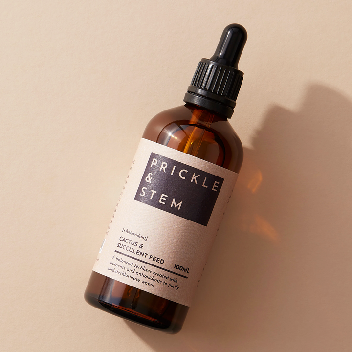 Brown glass bottle of houseplant fertiliser with dropper labeled 'Prickle & Stem' on a beige background