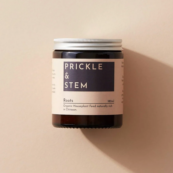 Jar of Prickle & Stem roots feed against a cream background