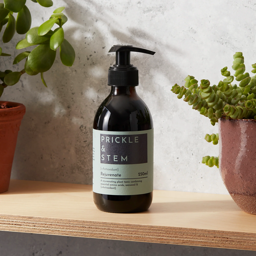 Pump action bottle of Prickle & Stem Plant Tonic on a wooden shelf between two houseplants