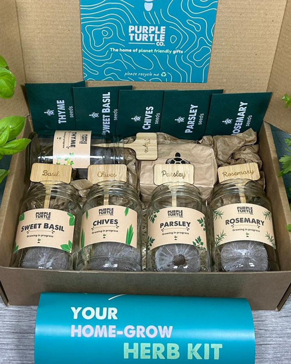 Herb kit with labeled jars in a box, featuring the Purple Turtle Co branding.