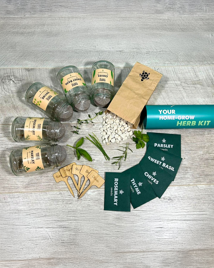 Herb starter kit with labeled bottles, packets, and labels on a wooden surface