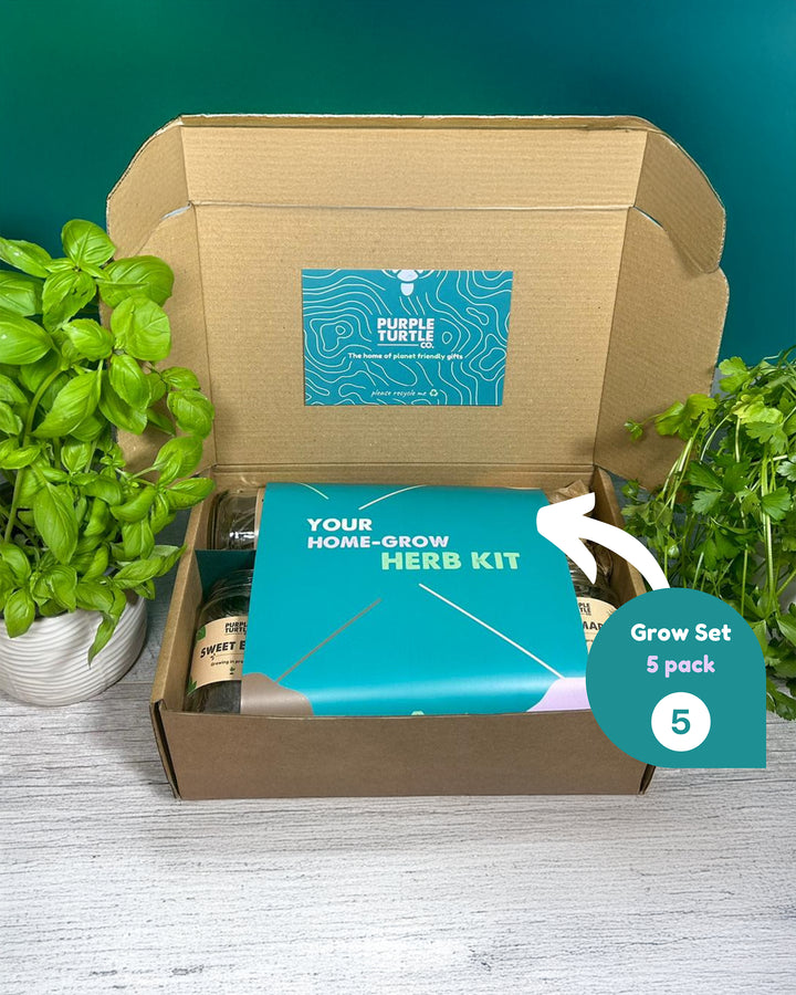 Home-grow herb kit packaging with plants on a wooden surface