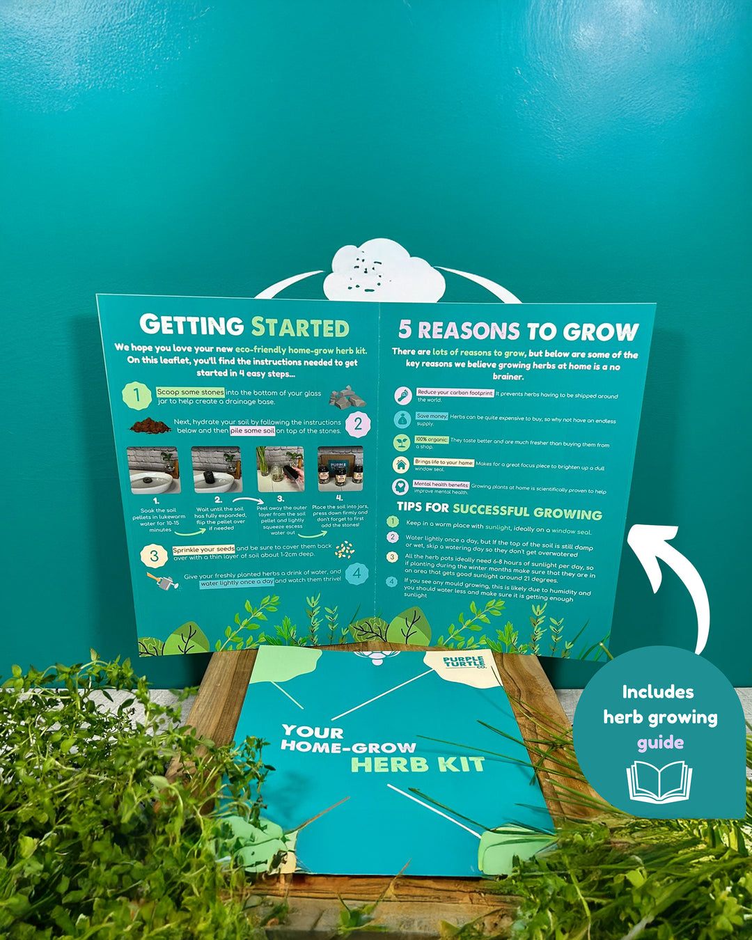 Herb growing kit with a guide on a teal background