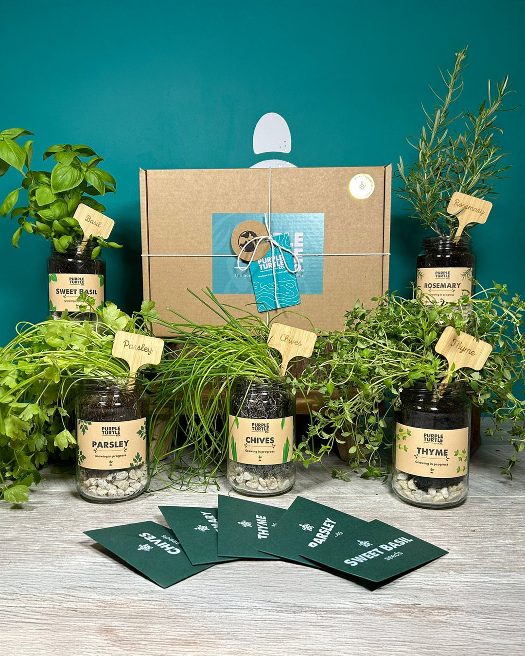 Herb gardening kit with labeled jars and plants on a wooden surface against a teal background