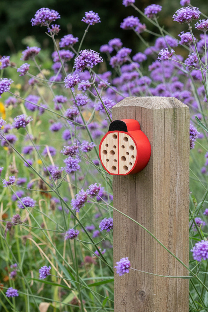 Rex London Red Wooden Ladybird Hotel