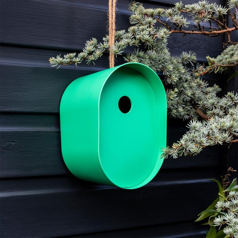 Green birdhouse attached to a tree branch against a dark wooden background