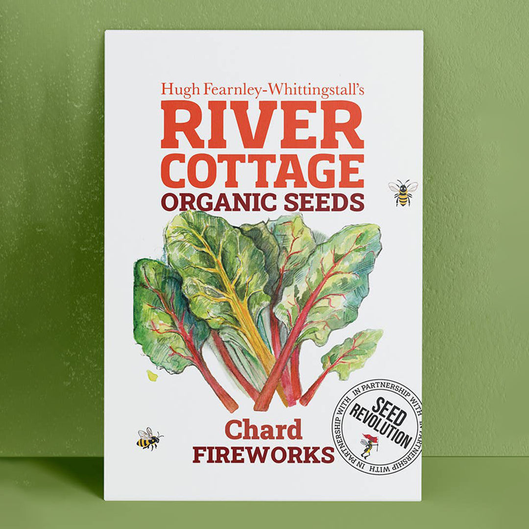 River Cottage Organic Chard Seeds - Fireworks seed packet front
