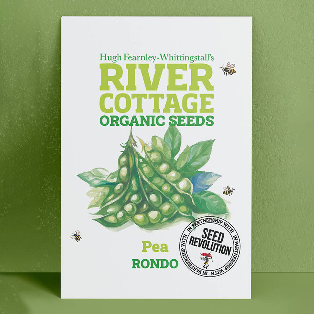 River Cottage Organic Pea Seeds - Rondo seed packet front