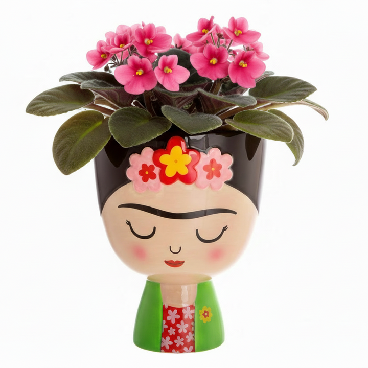 Sass & Belle Viva La Frida Planter