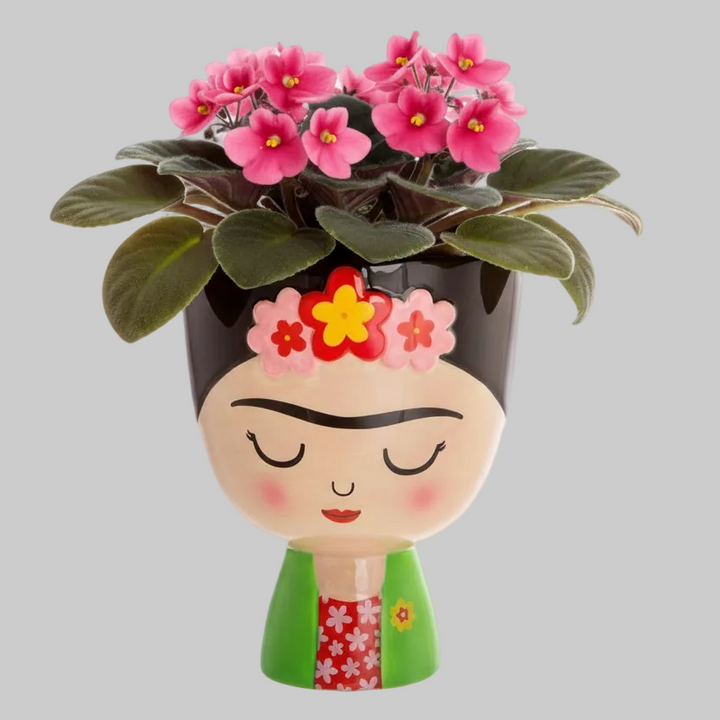 Sass & Belle Viva La Frida Planter