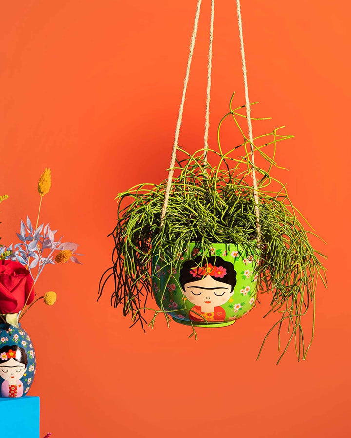 Hanging plant with decorative pot against an orange background