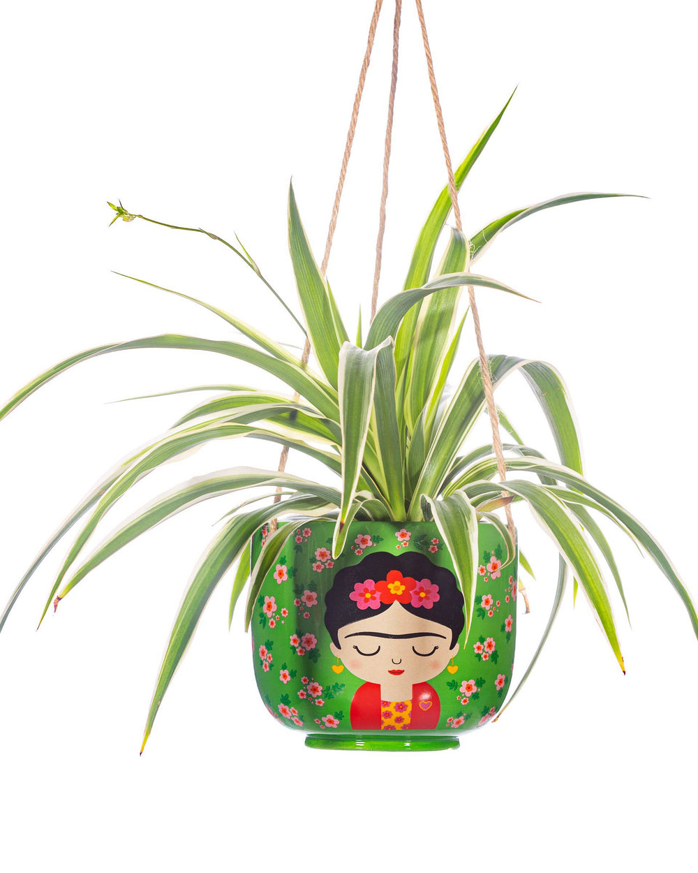 Hanging plant in a decorative pot with a face design on a white background
