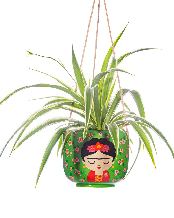 Hanging plant in a decorative pot with a face design on a white background