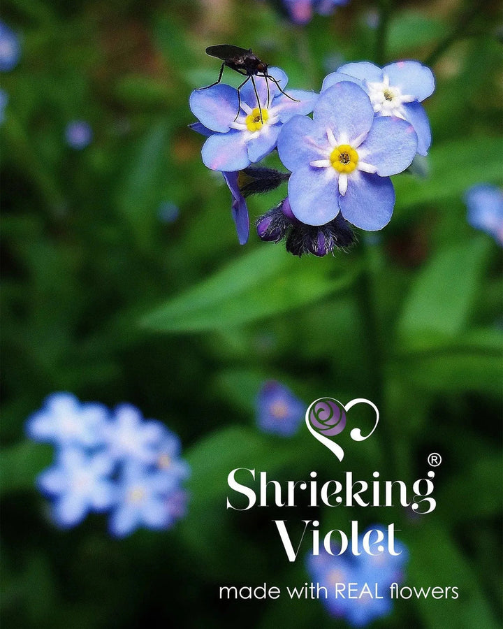 Blue flowers with a fly on top, branded 'Shrieking Violet' made with REAL flowers.