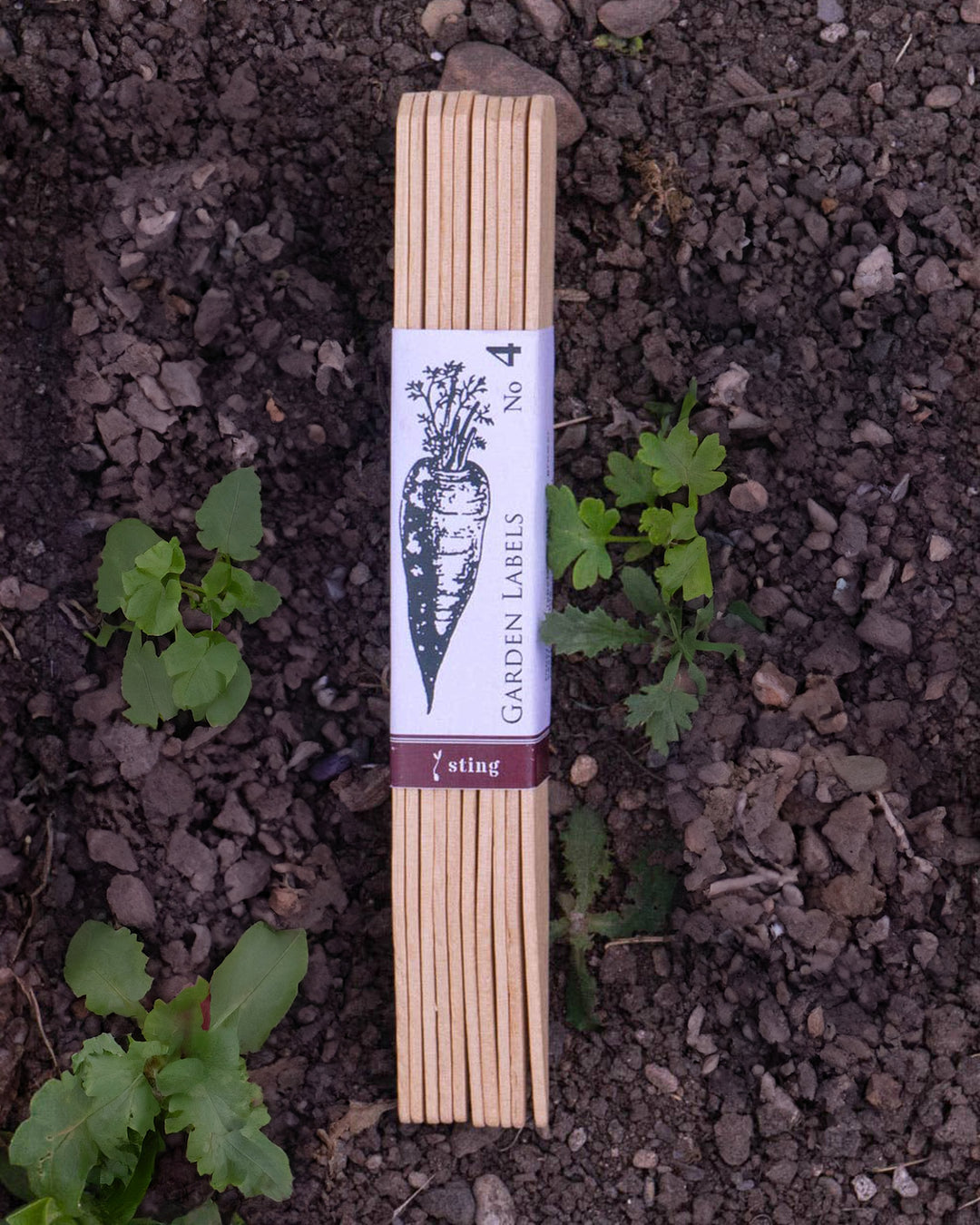 Pack of garden labels on soil with plants in the background