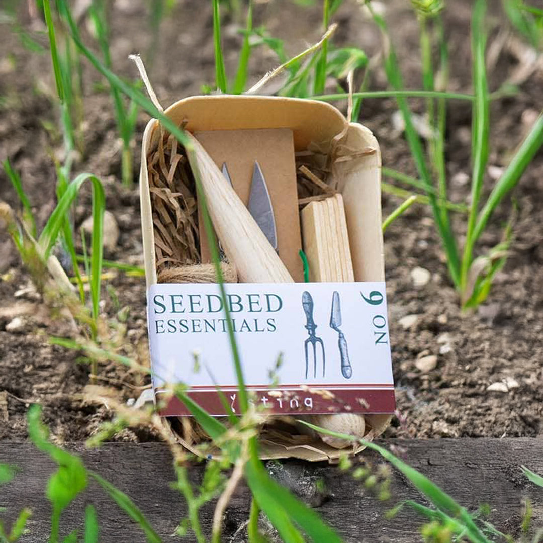Seedbed Essentials gardening tool set in a cardboard box with plants in the background