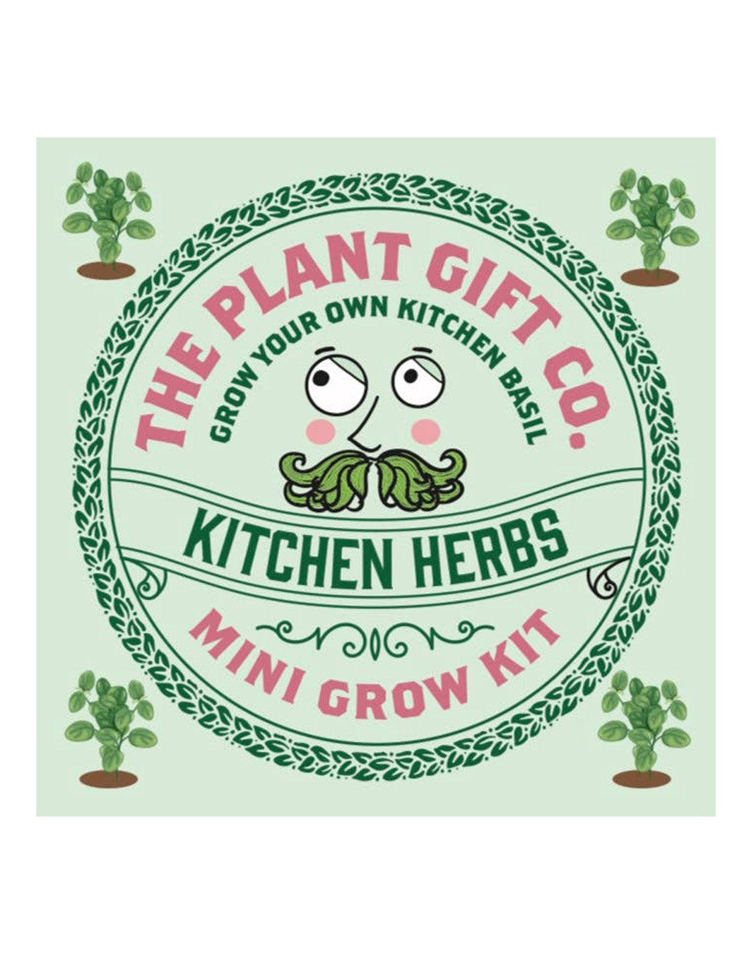 The Plant Gift Company Grow Your Own Basil Eco Mini Grow Kit