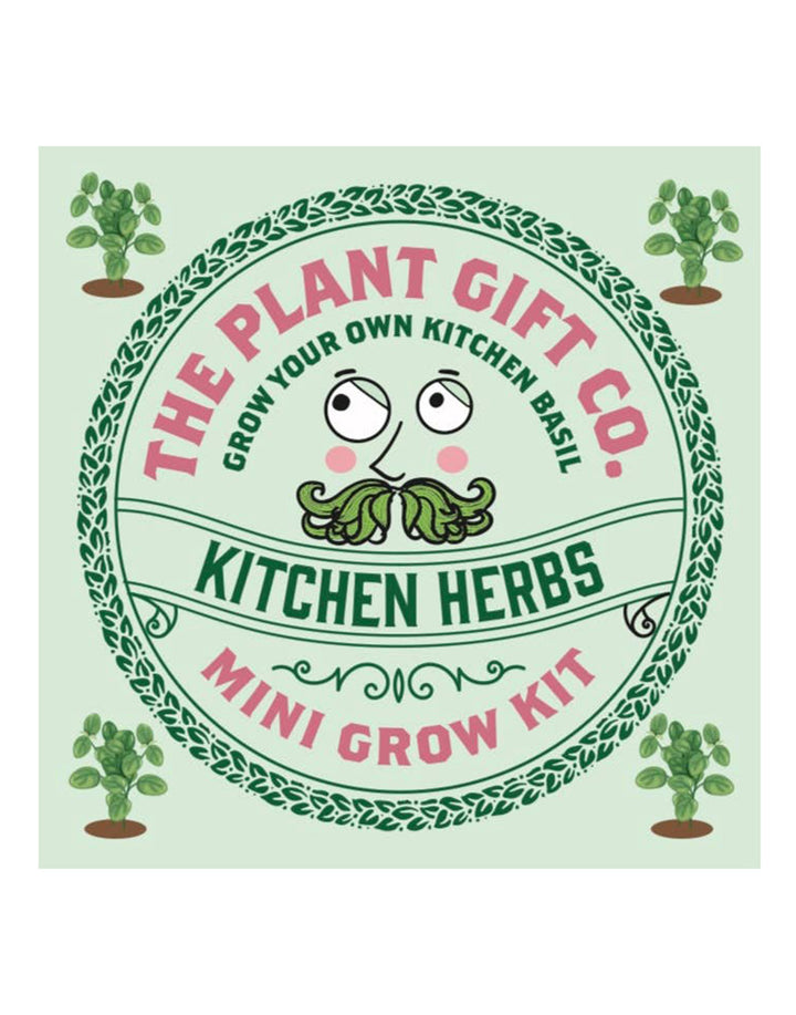 The Plant Gift Company Grow Your Own Basil Eco Mini Grow Kit