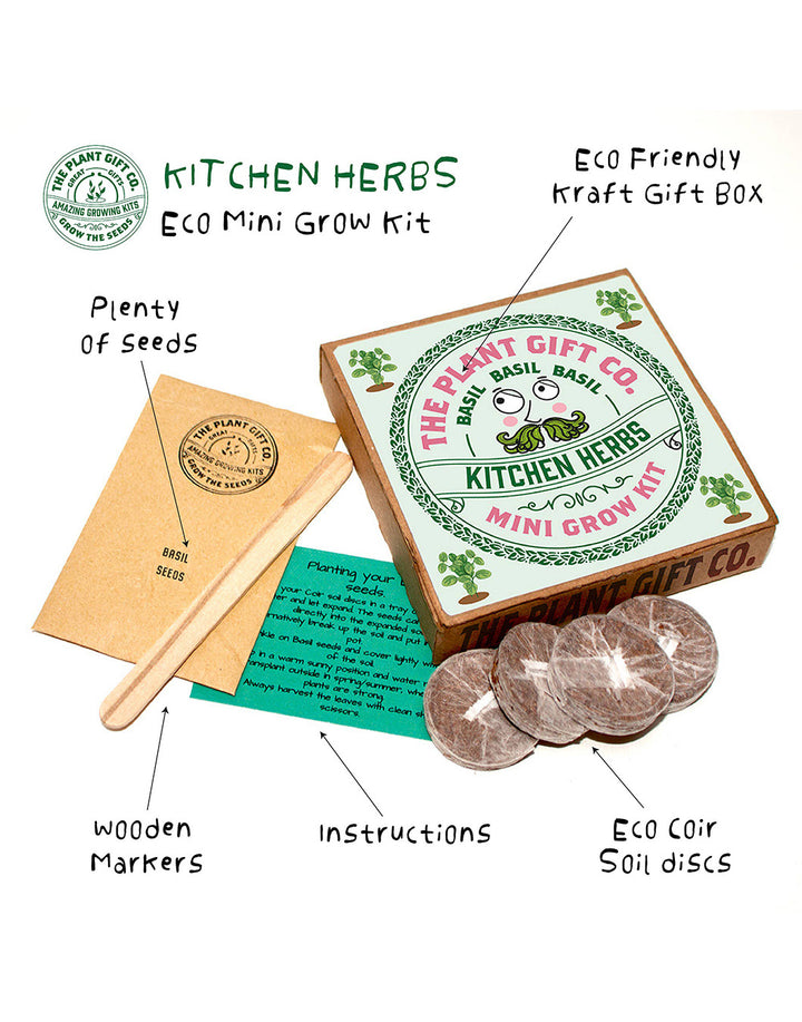 The Plant Gift Company Grow Your Own Basil Eco Mini Grow Kit