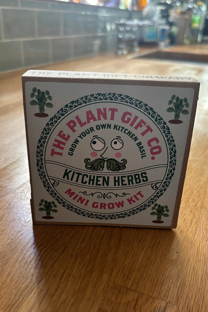 The Plant Gift Company Grow Your Own Basil Eco Mini Grow Kit