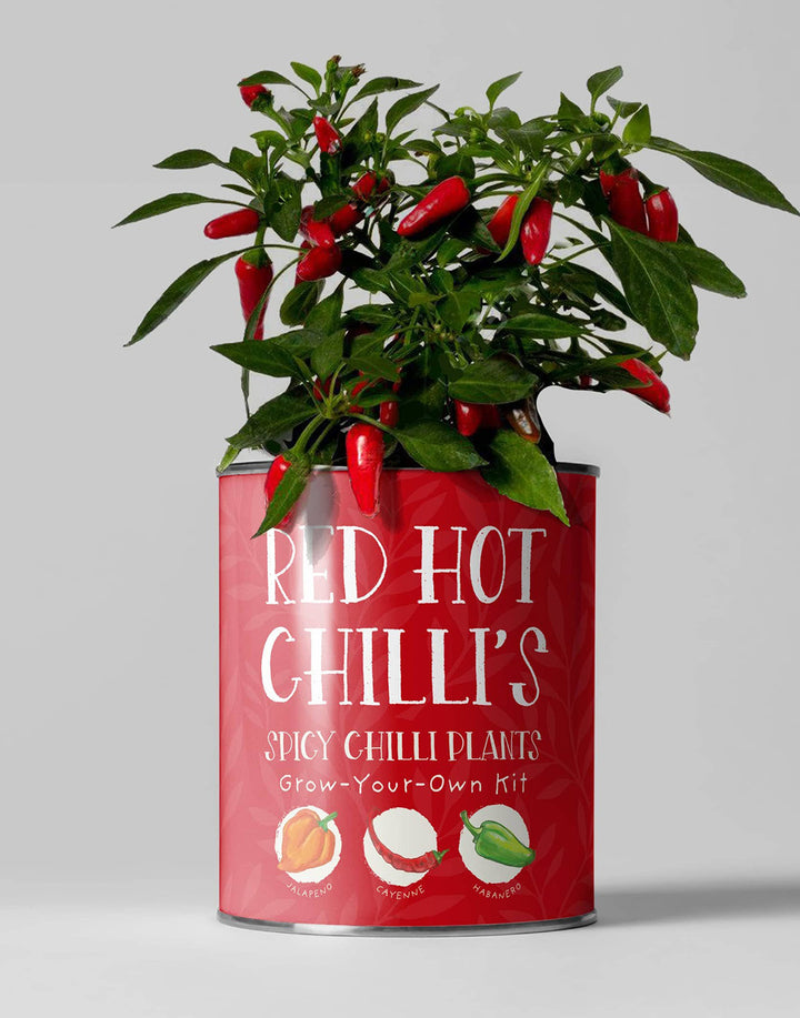 The Plant Gift Company Grow Your Own Red Hot Chilli Plants Eco Gardening Kit