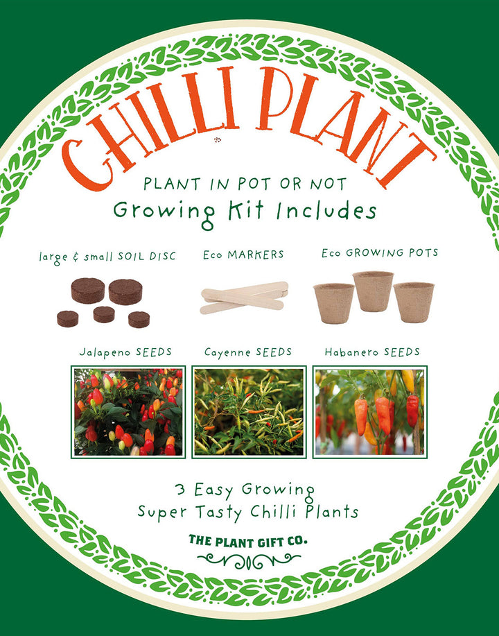 The Plant Gift Company Grow Your Own Red Hot Chilli Plants Eco Gardening Kit