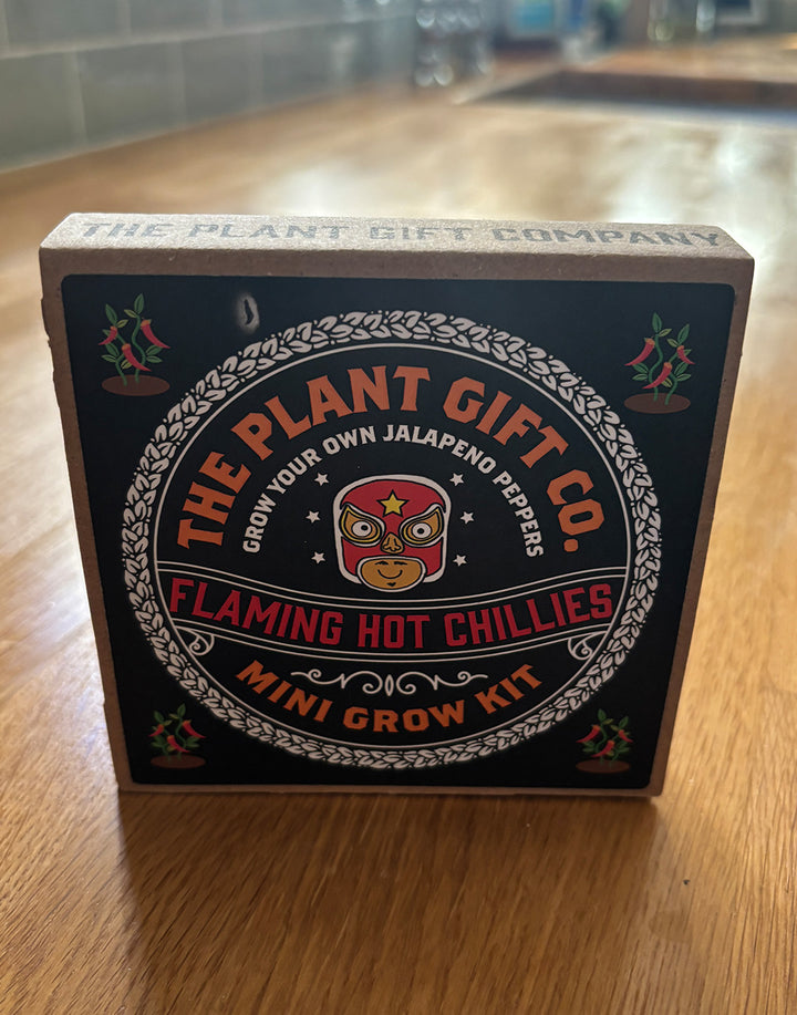 The Plant Gift Company Grow Your Own Red Hot Chillies Eco Mini Grow Kit
