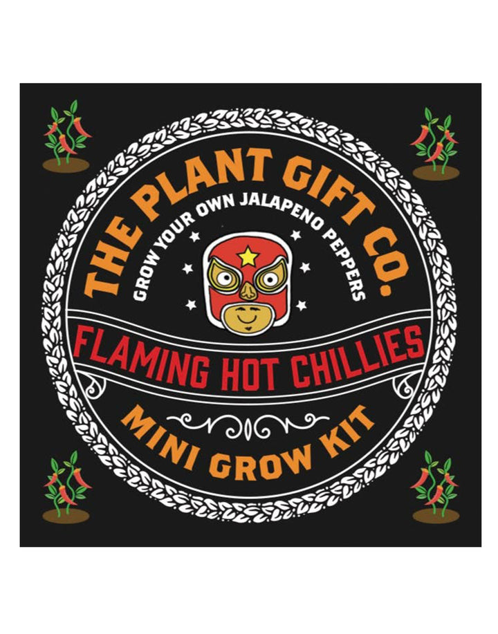 The Plant Gift Company Grow Your Own Red Hot Chillies Eco Mini Grow Kit