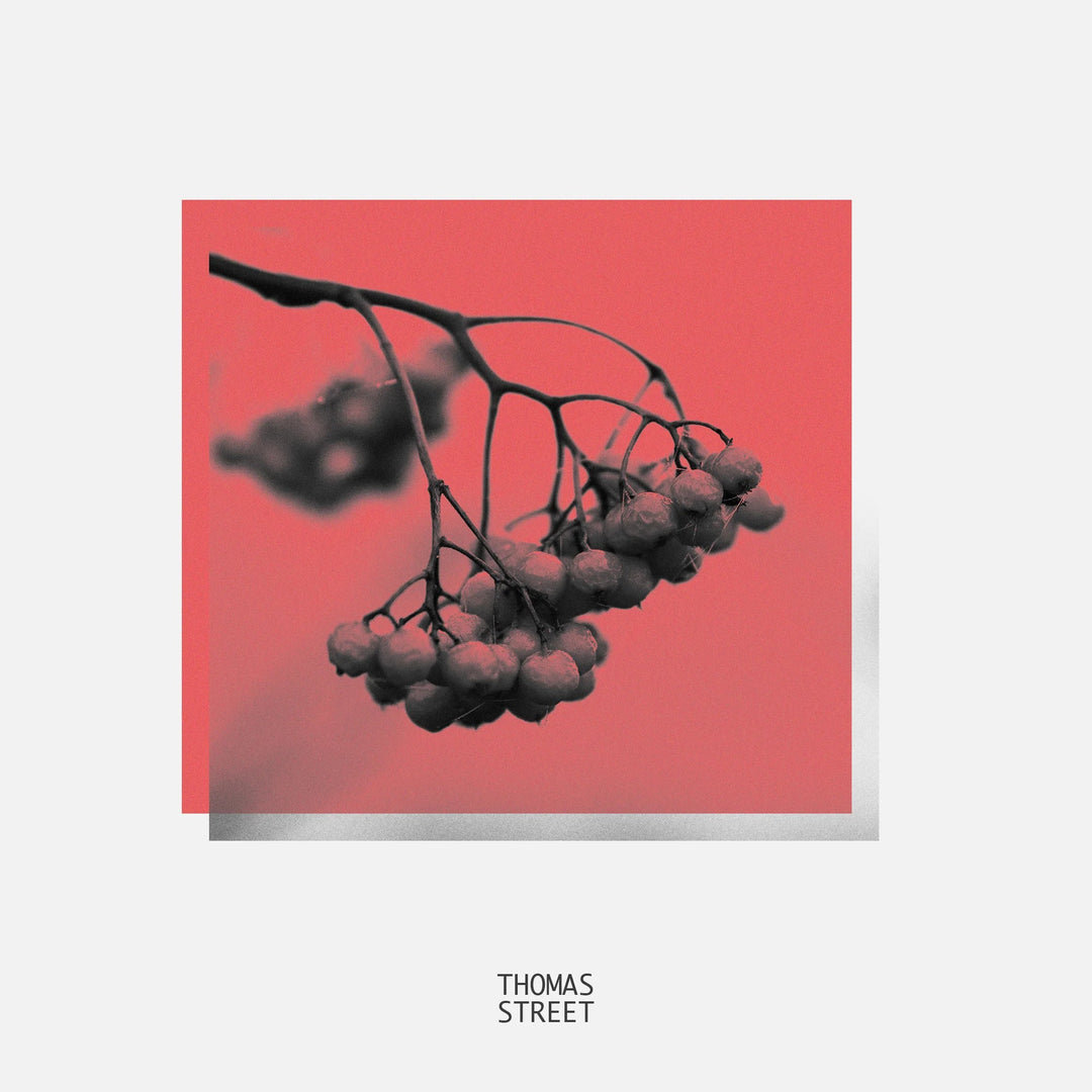 Branch with berries on a red background with 'Thomas Street' branding.