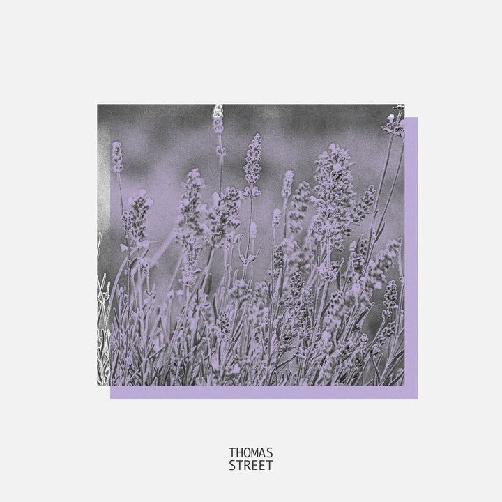 Artistic depiction of lavender flowers with a purple border and 'Thomas Street' branding.