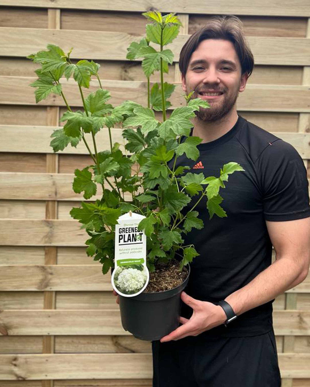Man holding a potted plant with a wooden fence background