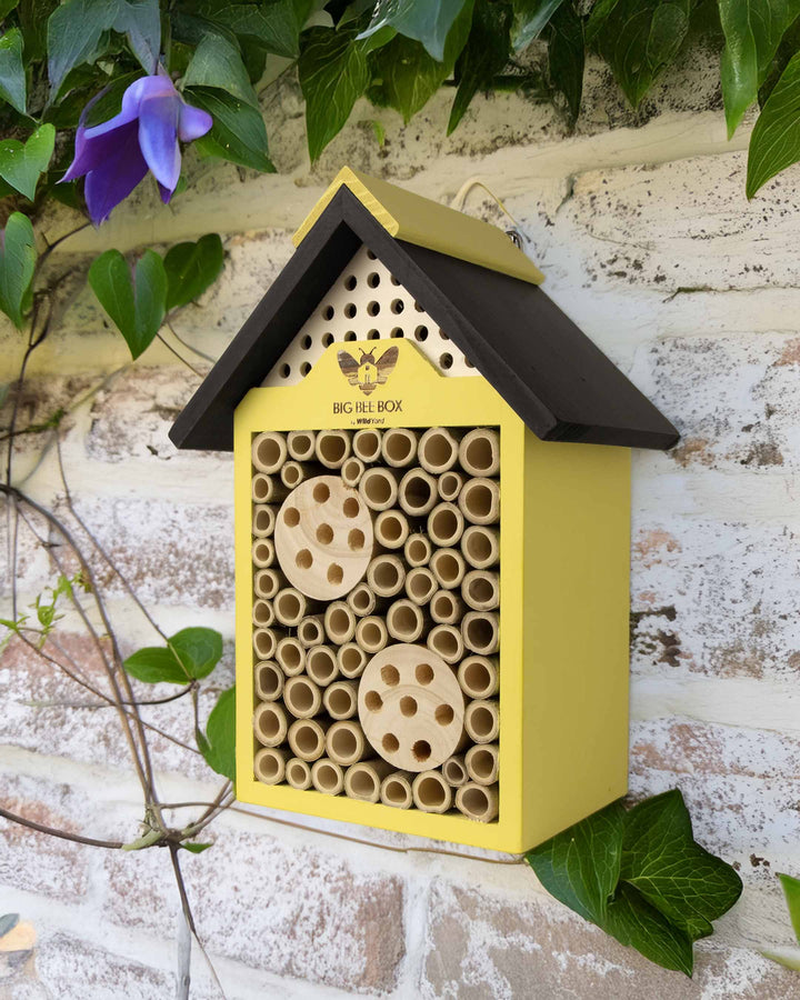 Yellow and brown bee house with visible brand logo on a stone wall background