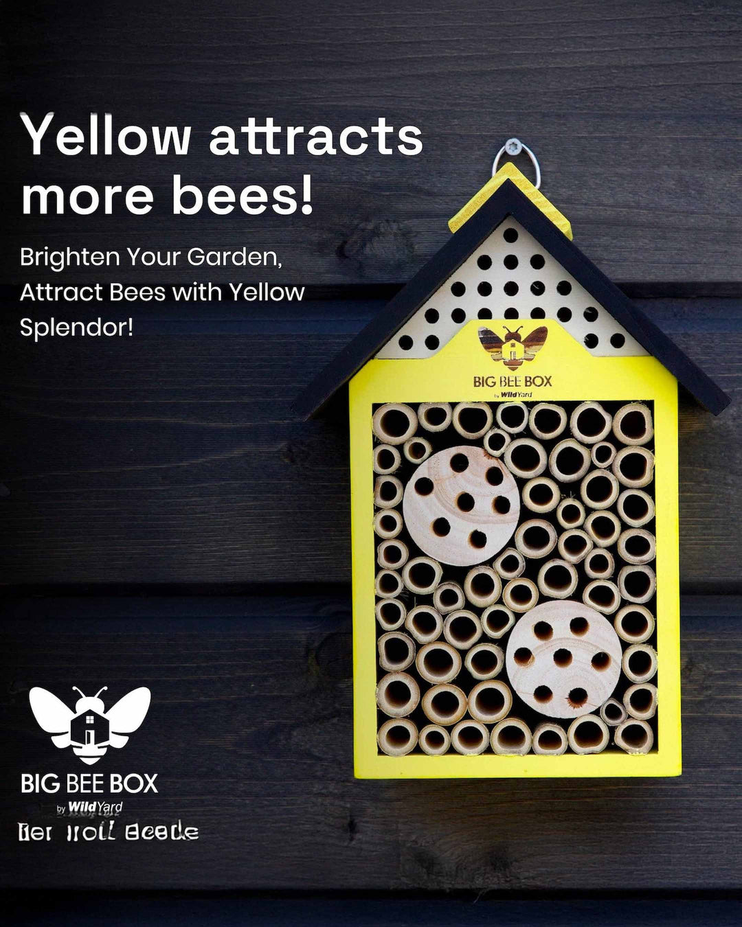 Big Bee Box with text about attracting bees with yellow color