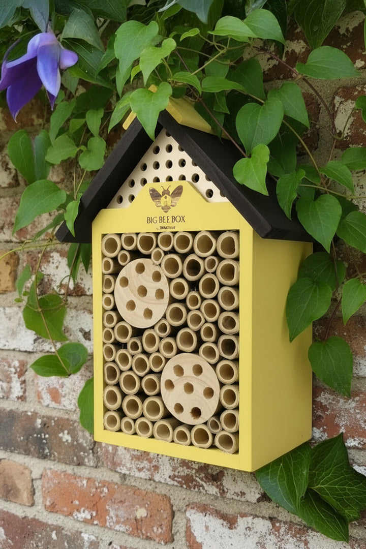 WildYard Big Bee Box Insect Habitat