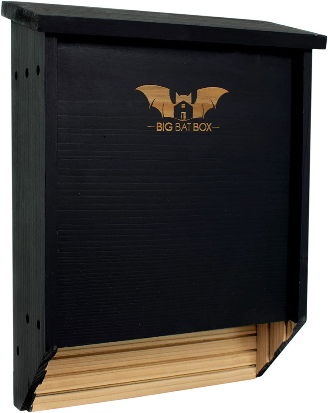Black bat box with wooden base and 'Big Bat Box' logo on a wood background