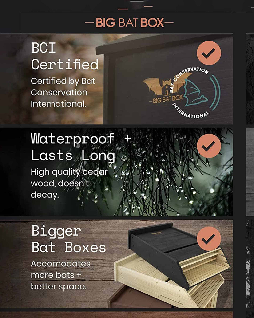 BIG BAT BOX advertisement with certification details and product features.