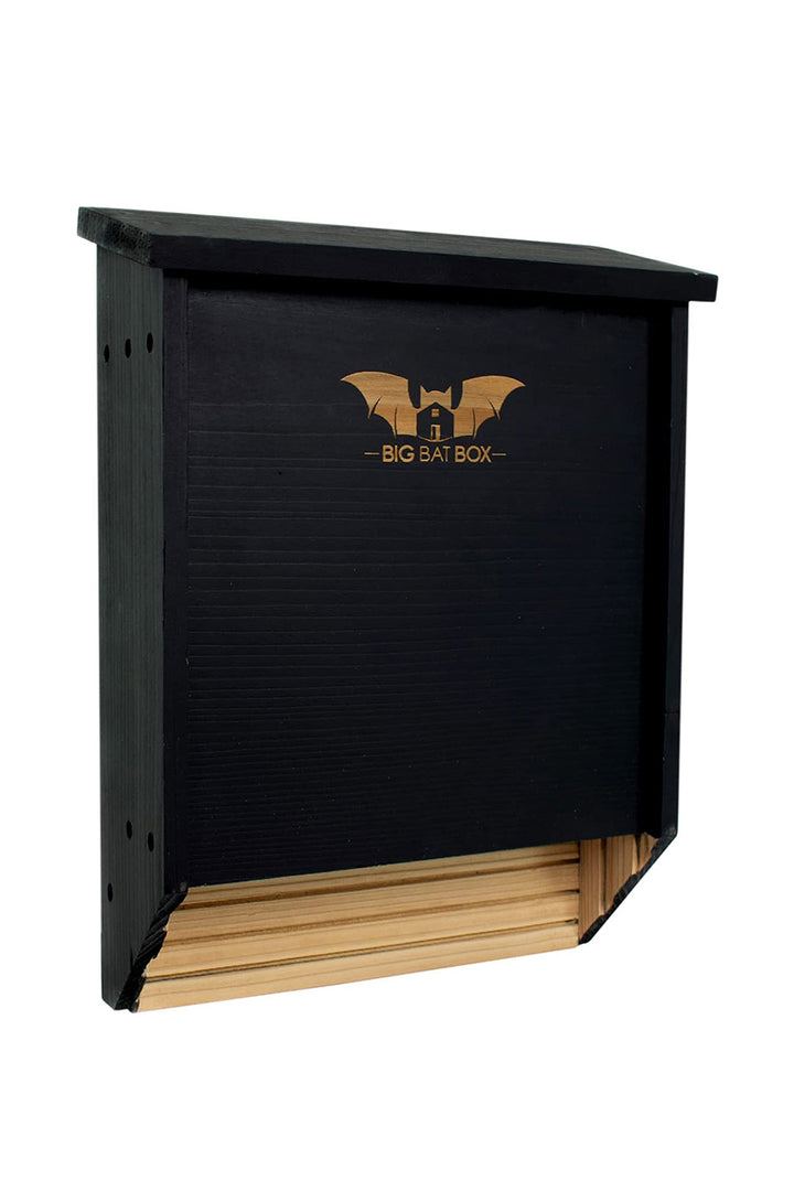 WildYard Double-Chamber Bat House Black