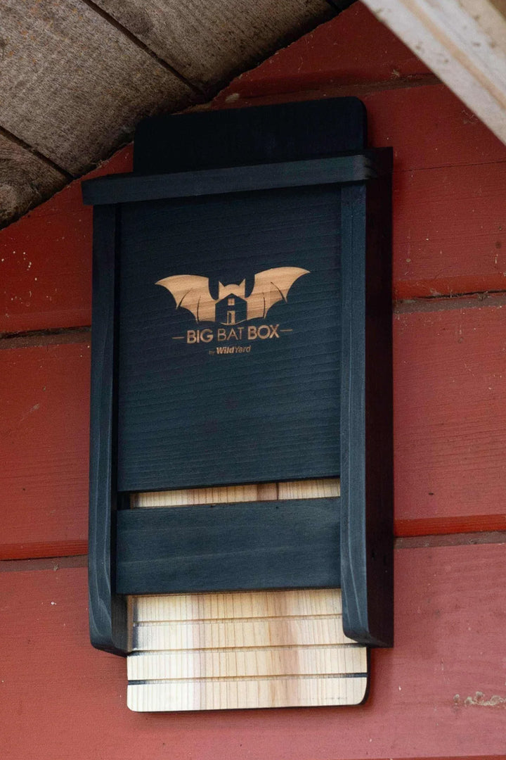 WildYard Single Chamber Bat House Black
