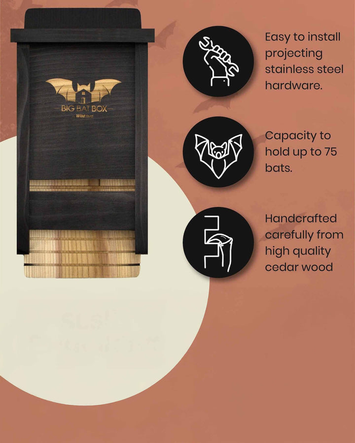 Bat house with features listed on a brown background
