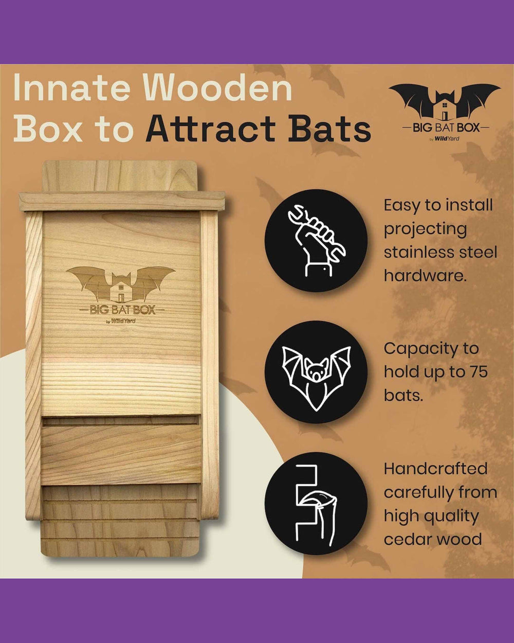 Wooden bat box with features listed on a brown and purple background