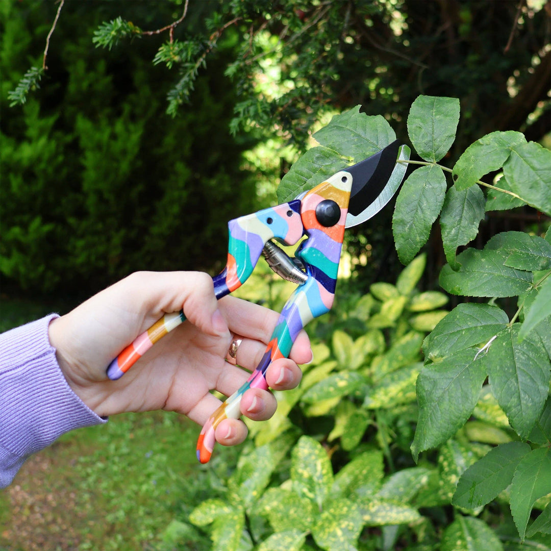 Colorful garden shears held by a person with green foliage in the background