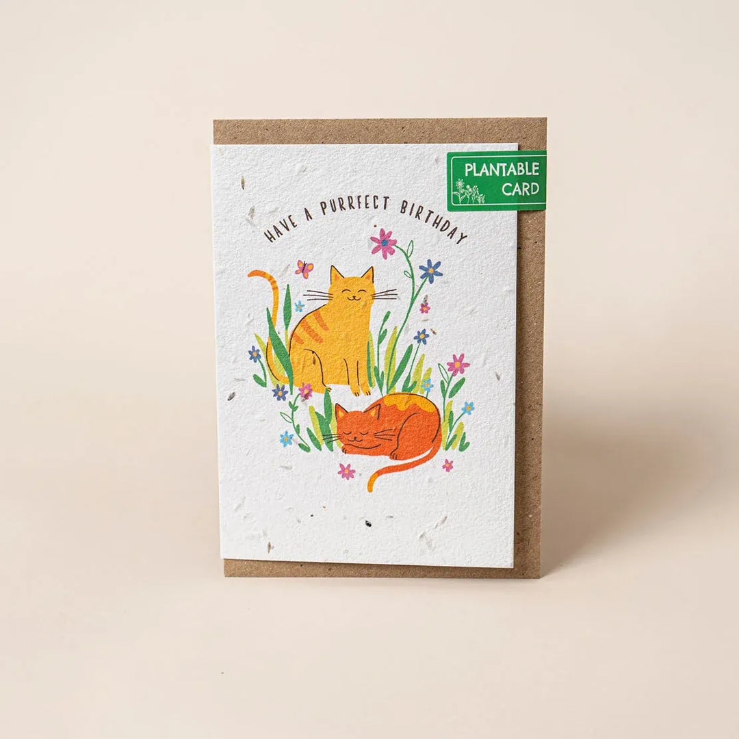 Plantable birthday card with cats and flowers on a beige background