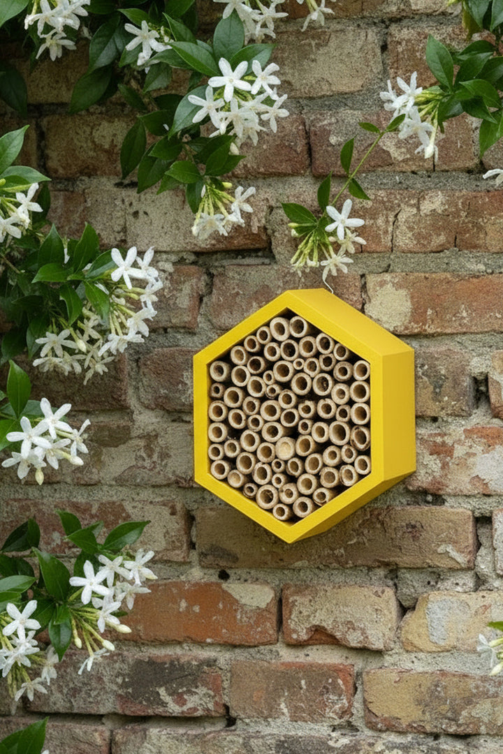 Yellow Wooden Bee House