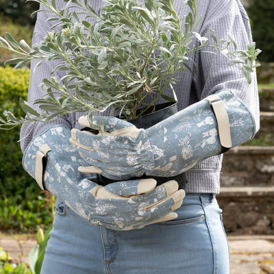 Beatrix Potter Peter Rabbit Gardening Gauntlets - Norman & Vera Garden Boutique