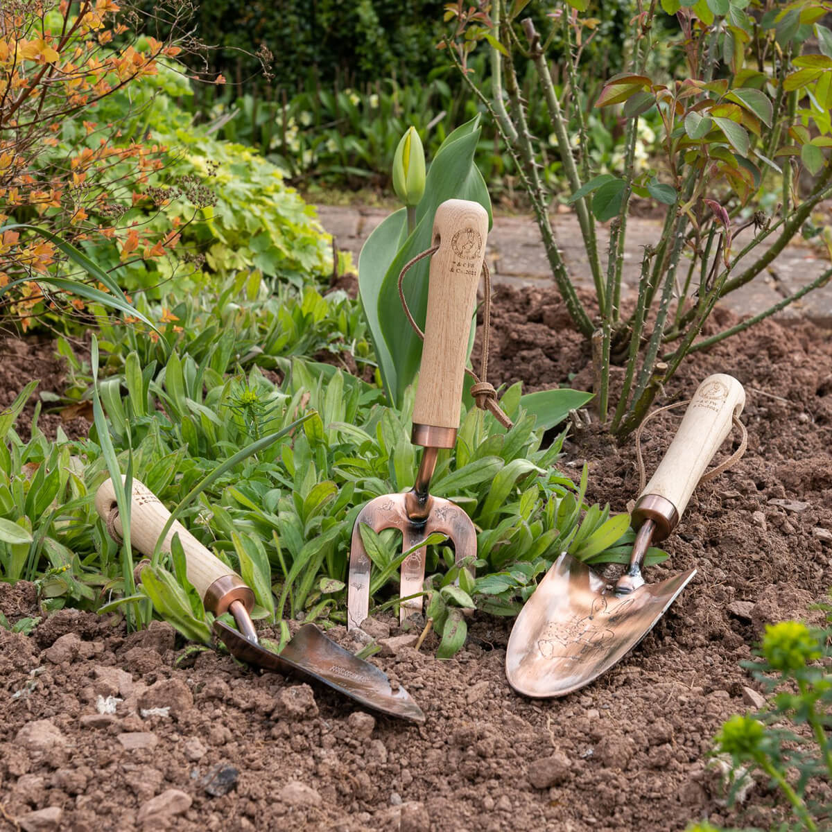 Beatrix Potter Peter Rabbit Gardening Tool Set – Norman & Vera