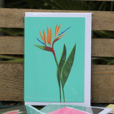Bird Of Paradise Greetings Card - Norman & Vera Garden Emporium
