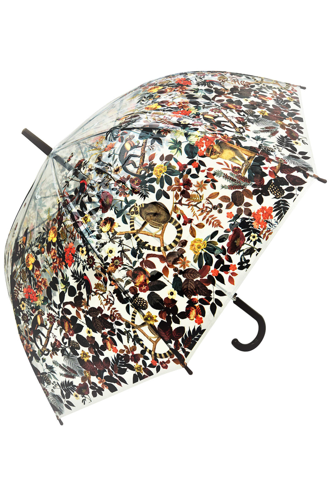 Blooms Of London Night At The Jungle Transparent Umbrella - Norman & Vera Garden Emporium