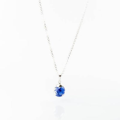 Botanic Isles Cornflower Sterling Silver Small Sphere Necklace - Norman & Vera Garden Emporium