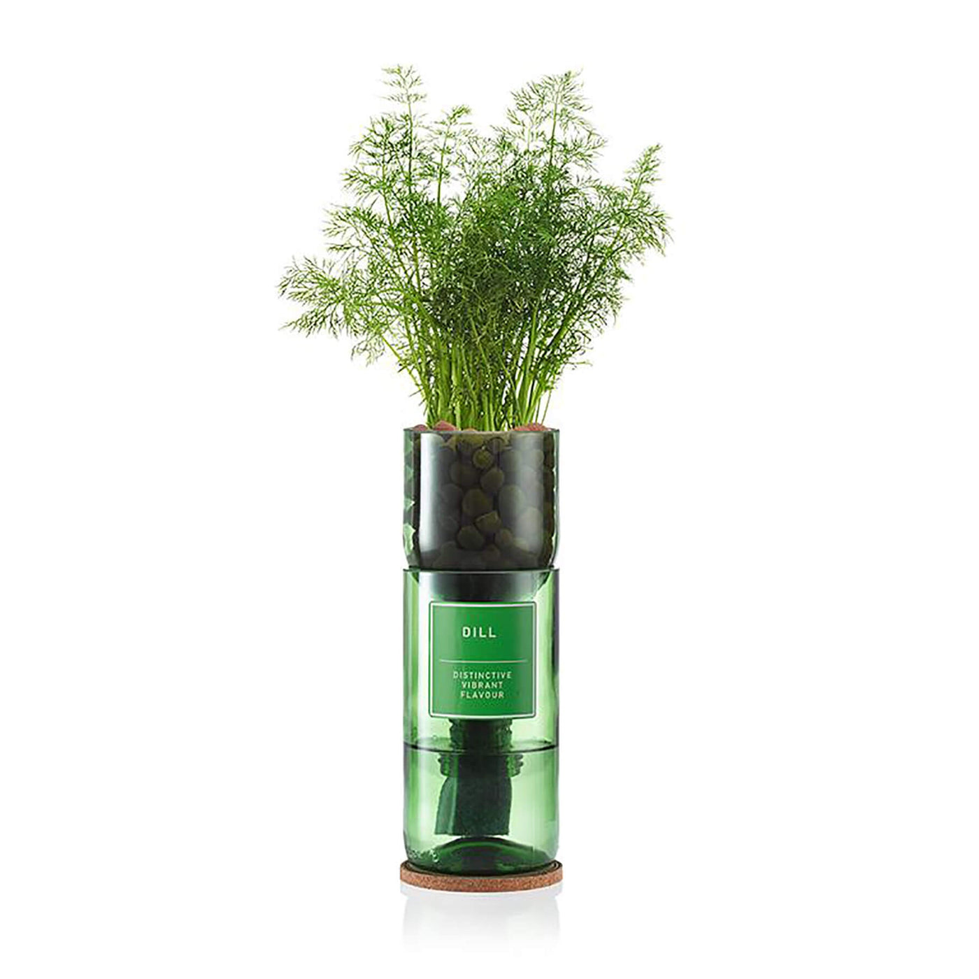 Hydro Herb Dill Hydroponic Growing Kit - Norman & Vera Garden Emporium